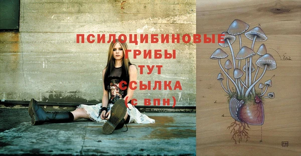 MDMA Алексин